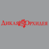 Дикая орхидея Дикая орхидея