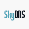 Skydns Skydns