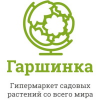 Гаршинка Гаршинка
